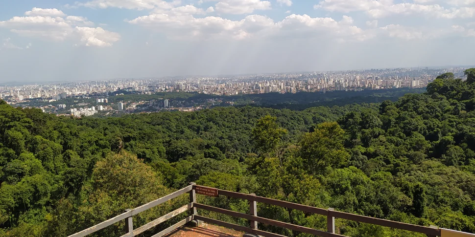 Guia de Áreas Protegidas Vista panorâmica a partir de mirante de madeira para ampla área de mata verde com a paisagem urbana de prédios ao fundo sob céu nublado.