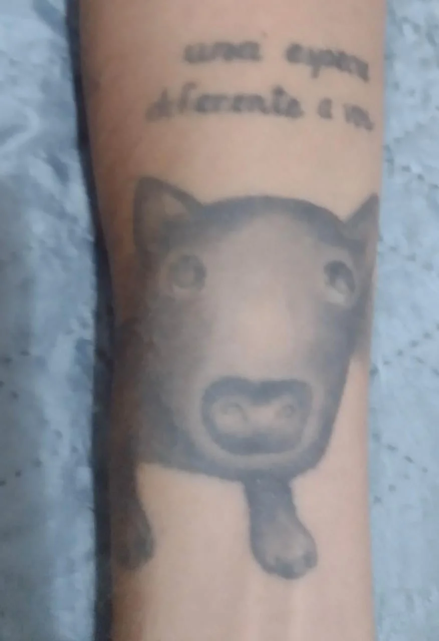 Tatuagem no antebraço com desenho da cabeça e patas de uma cadela e a frase escrita acima: 'una especie diferente a vos'.